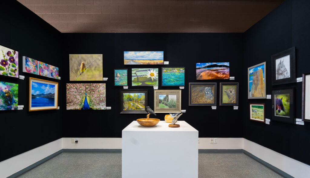 A room in an Art Gallery. Colourful nature paintings stand out against black walls. There is 
a white cube display table in the middle with carved wooden pieces on it. The photo is taken straight on, and you can see three walls. 