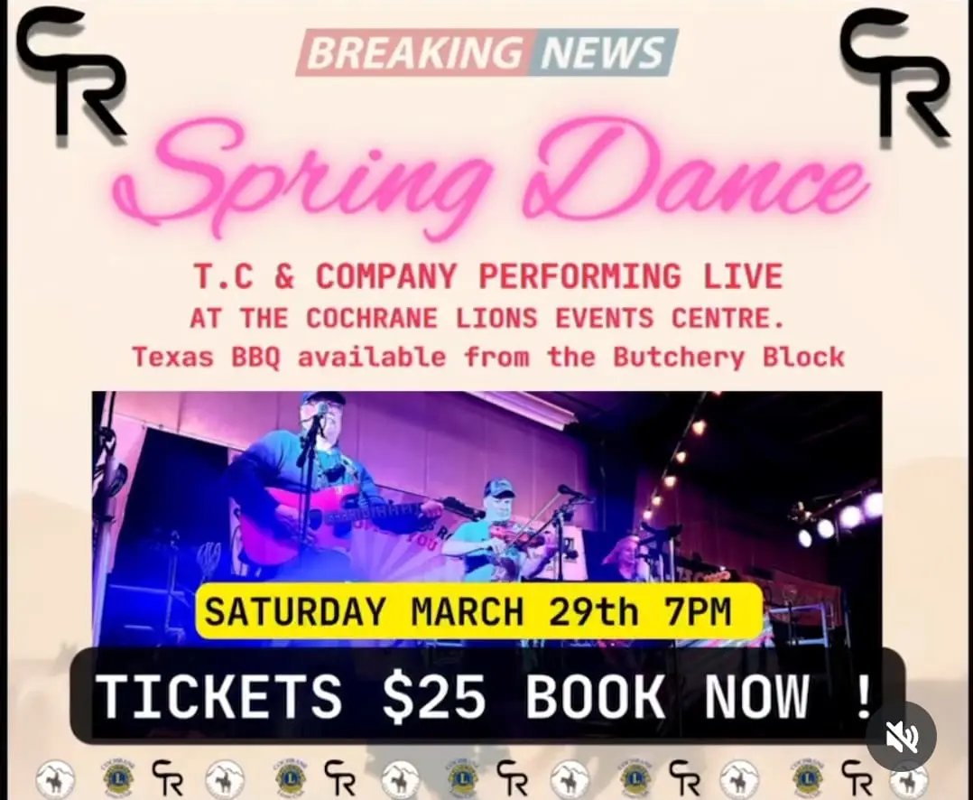 Spring Dance poster. A band playing on stage, photographed from below, lit up with purple lights.