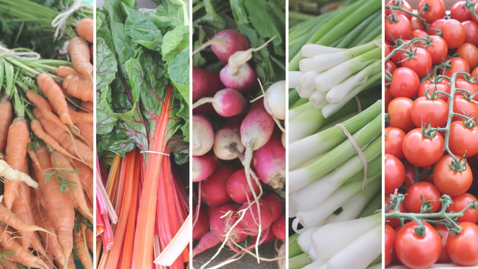 5 Photos of vegetables side by side with a white border in between. L to R carrots, chard, radishes, scallions, cherry tomatoes.