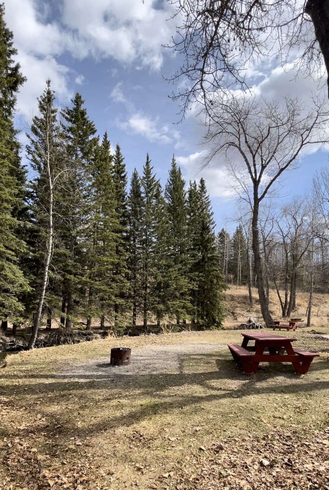 A campsite with a picnic table and a firepit. There are trees around, and it's a sunny day.