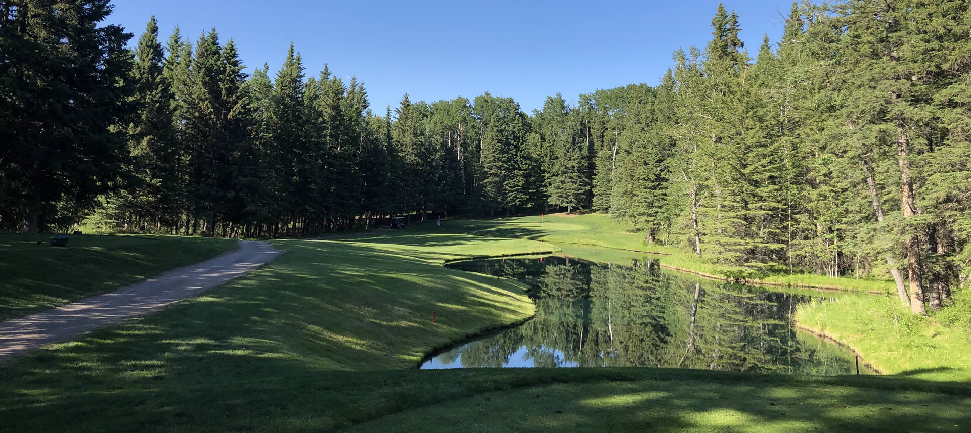 A green golf course in an evergreen forest. It's a sunny day with blue skies. There is a pond on the right and a path winding through the course on the left.